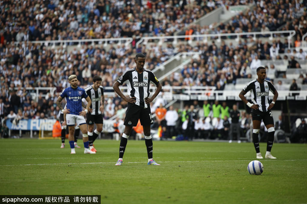 馆设计师不 馆设计师不